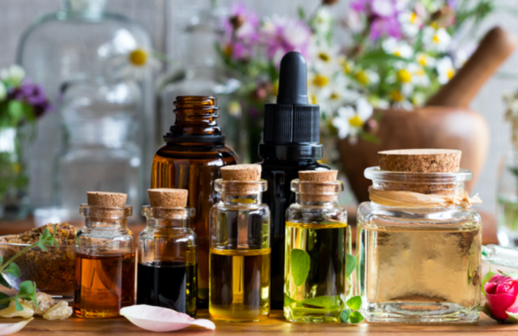 Capture_d_ecran_2023-02-10_a_08.38.19_1512x_d9f3ac79-01d5-4298-a794-537d3226b151