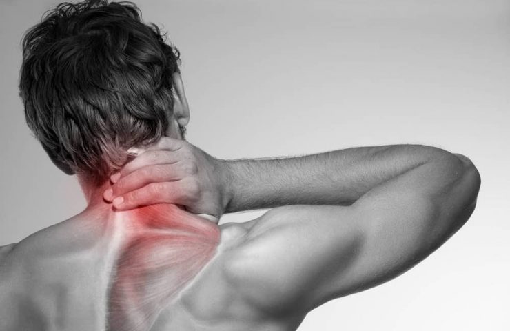 le_cou_1512x_83e7d573-26e5-4112-9cd1-67e1035d4618